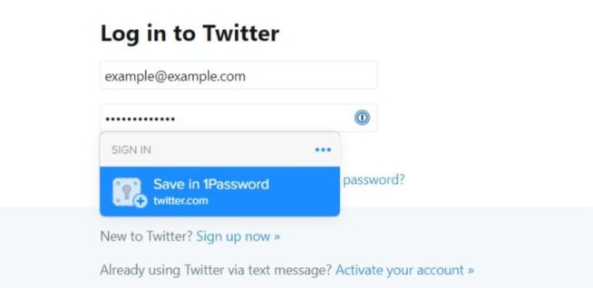 13 1Password Save Password