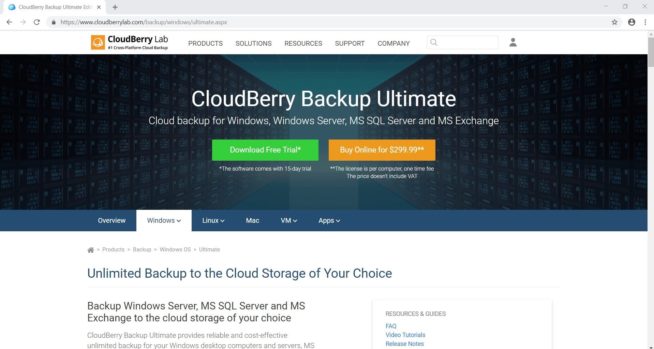 1 Cloudberry Review Homepage
