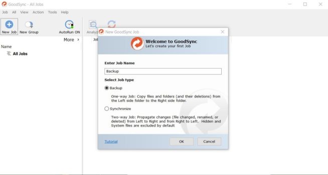6 GoodSync Review New Job