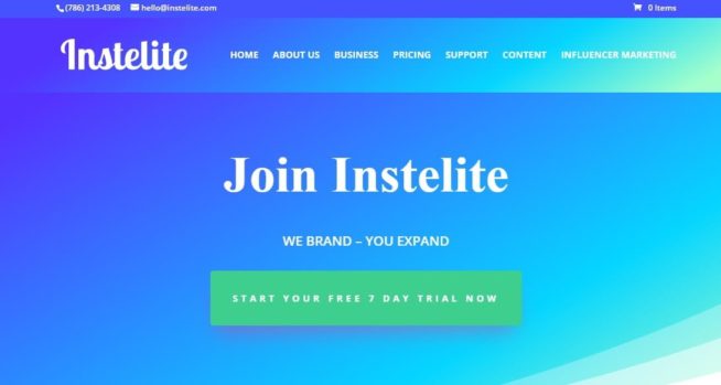 instelite