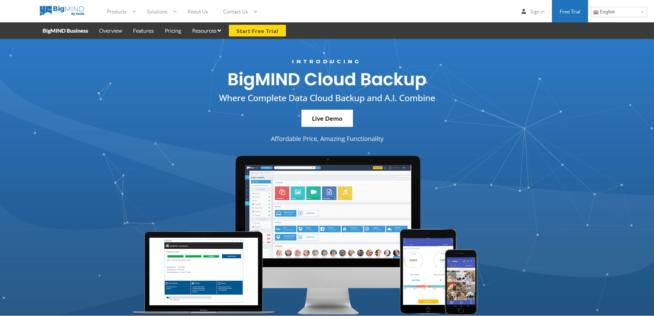 BigMIND by Zoolz Cloud Storage