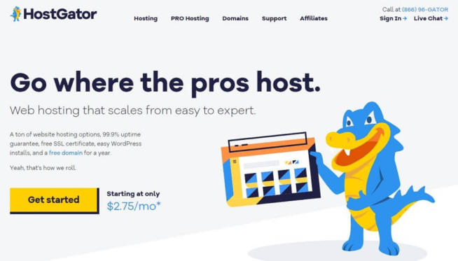 Hostgator Web Hosting for Small Business