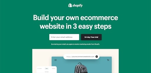 Shopify website