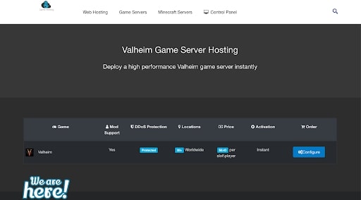 AA Game Host Valheim Server Hosting