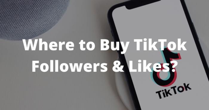 Where to Buy TikTok Followers & Likes