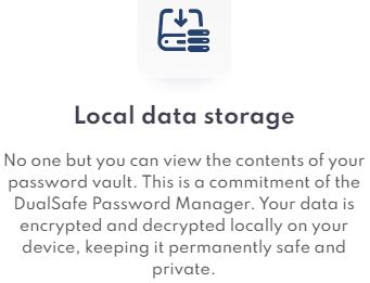 DualSafe Local Data Storage