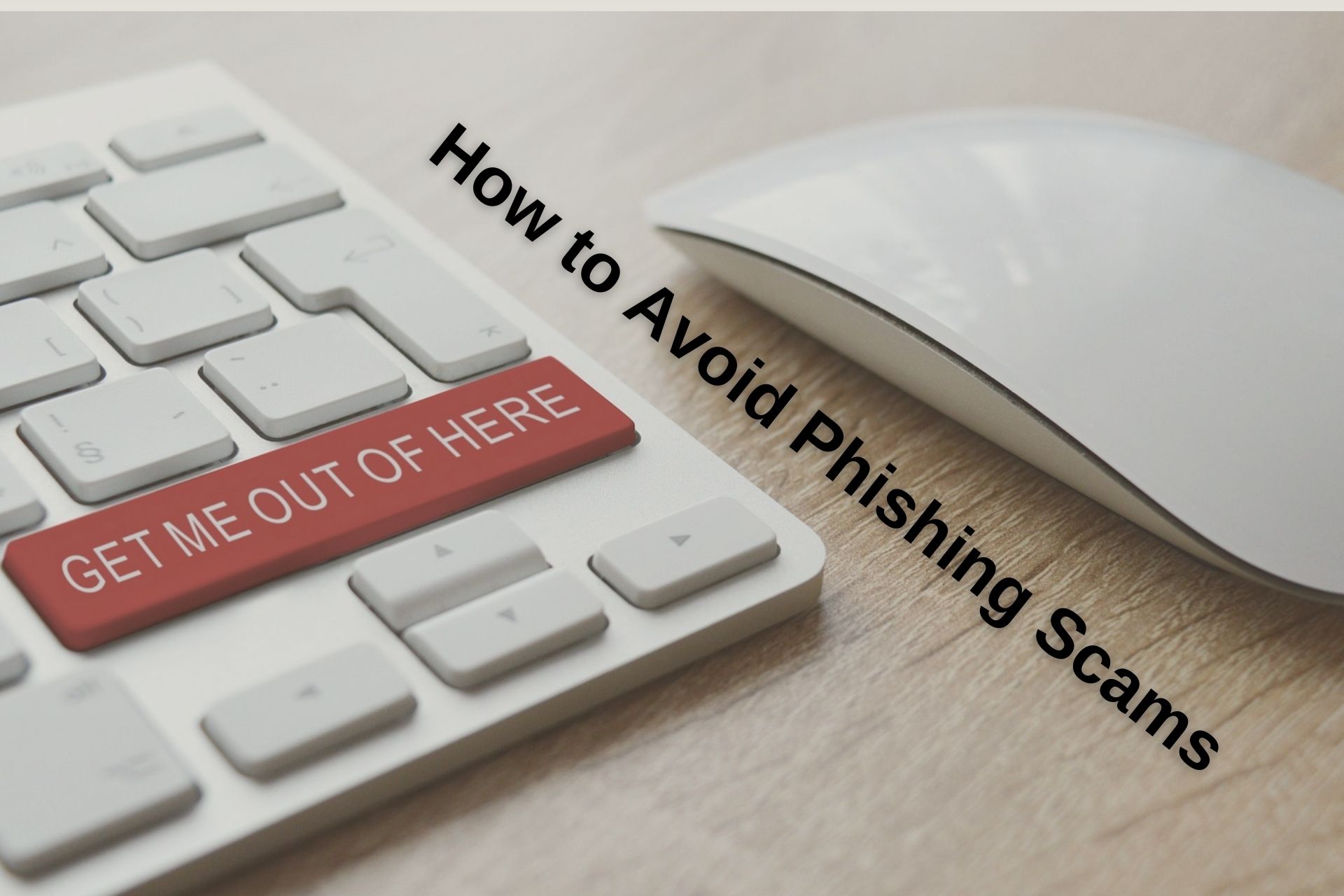 How to Avoid Phishing Scams