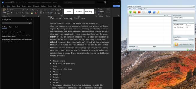 PDFZilla Converted Document