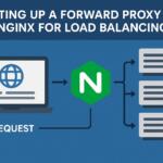 Setting Up a Forward Proxy with Nginx for Load Balancing